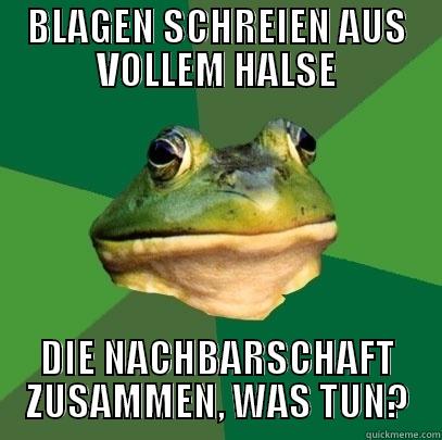 BLAGEN SCHREIEN AUS VOLLEM HALSE DIE NACHBARSCHAFT ZUSAMMEN, WAS TUN? Foul Bachelor Frog