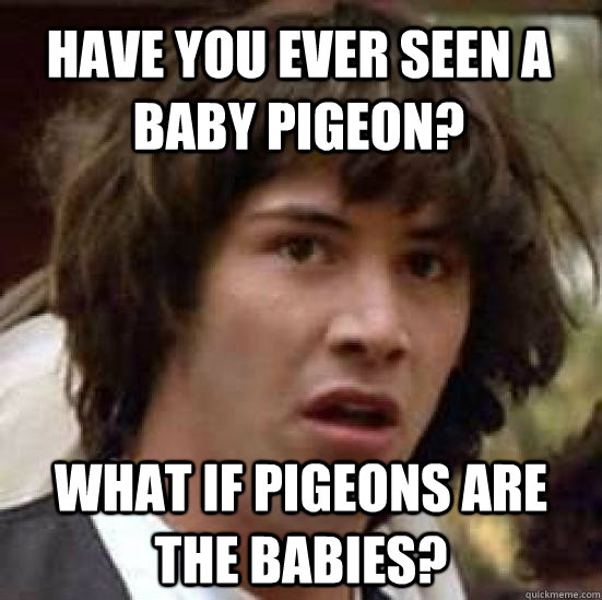 Have you ever seen a baby pigeon? What if pigeons are the babies?  conspiracy keanu