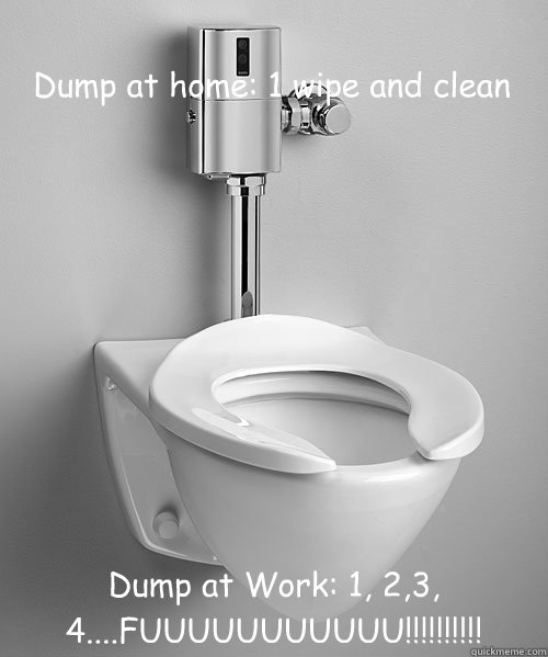 Dump at home: 1 wipe and clean Dump at Work: 1, 2,3, 4....FUUUUUUUUUUU!!!!!!!!!!  Scumbag Toilet
