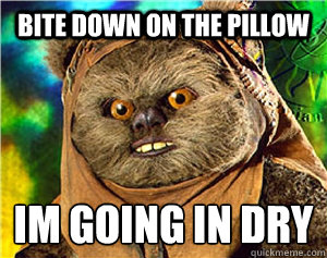 Bite down on the pillow im going in dry
  Rape Ewok