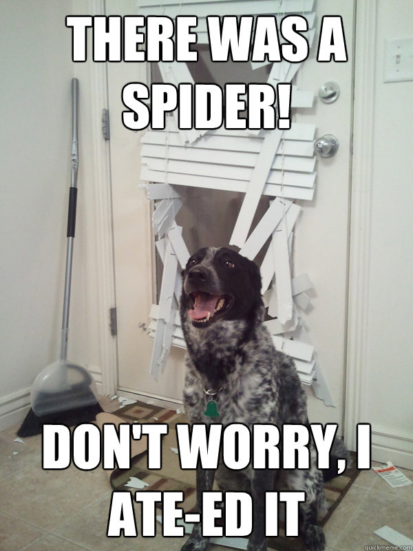 there was a spider! don't worry, I ate-ed it  