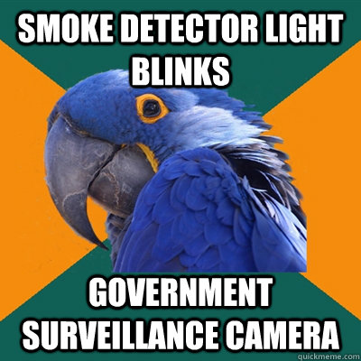 smoke detector light blinks government surveillance camera  Paranoid Parrot