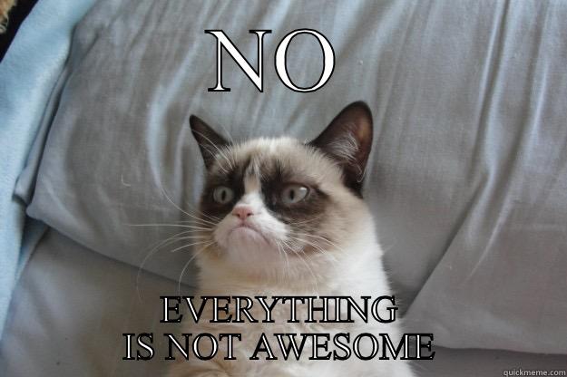 Everything is awesome... NO - NO EVERYTHING IS NOT AWESOME Grumpy Cat