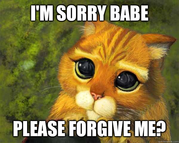 I'm sorry babe Please Forgive me?  im sorry