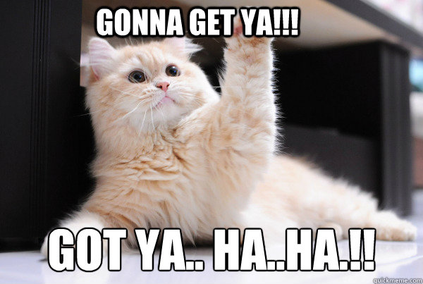 GONNA GET Ya!!! GOT YA.. HA..HA.!!  