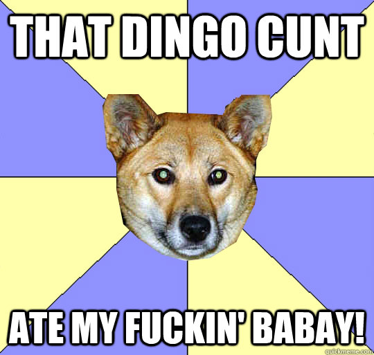 that dingo cunt ate my fuckin' babay!  DAE Dingo