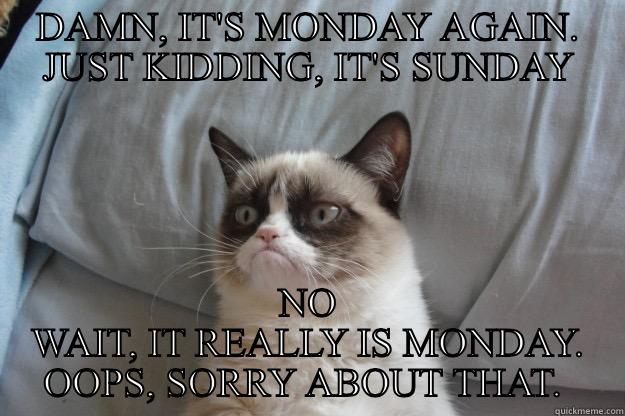 DAMN, IT'S MONDAY AGAIN. JUST KIDDING, IT'S SUNDAY NO WAIT, IT REALLY IS MONDAY. OOPS, SORRY ABOUT THAT.  Grumpy Cat