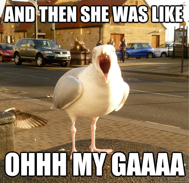 And then she was like   ohhh my gaaaa  - And then she was like   ohhh my gaaaa   Overly Dramatic Seagull