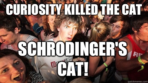 Curiosity killed the cat Schrodinger's Cat!  Sudden Clarity Clarence