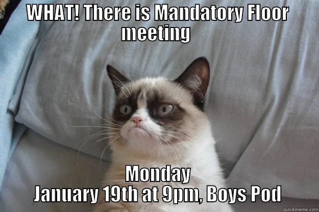 WHAT! THERE IS MANDATORY FLOOR MEETING  MONDAY JANUARY 19TH AT 9PM, BOYS POD Grumpy Cat
