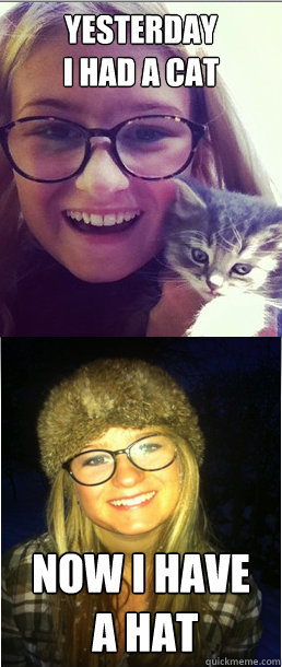 yesterday 
i had a cat now i have
 a hat  moni