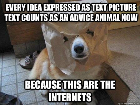 every idea expressed as text picture text counts as an advice animal now because this are the internets - every idea expressed as text picture text counts as an advice animal now because this are the internets  Internets dog