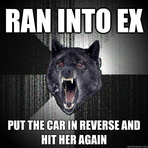 Ran into ex Put the car in reverse and hit her again - Ran into ex Put the car in reverse and hit her again  Insanity Wolf