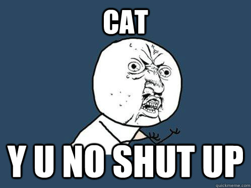Cat y u no shut up  Y U No