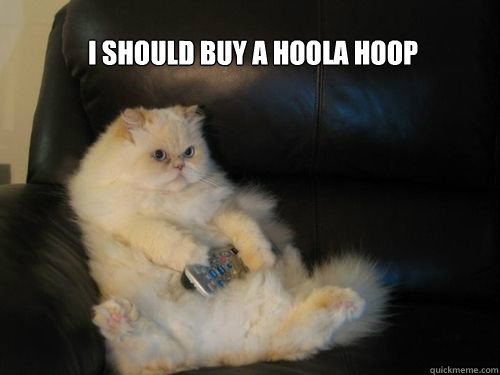 I should buy a hoola hoop - I should buy a hoola hoop  Disapproving TV Cat