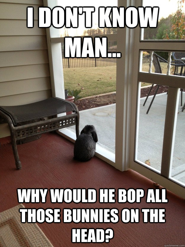 I don't know man... why would he bop all those bunnies on the head?  Facing Reality Bunny