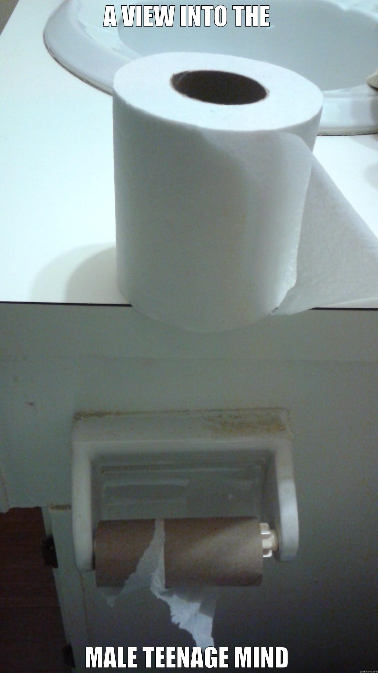 A VIEW INTO THE MALE TEENAGE MIND Misc