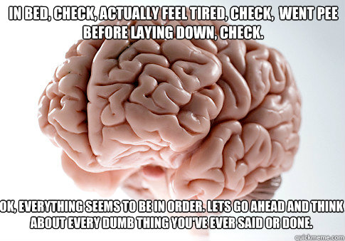 in bed, check, Actually feel tired, check,  went pee before laying down, check. ok, everything seems to be in order. lets go ahead and think about every dumb thing you've ever said or done.  Scumbag Brain