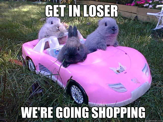 Get in loser We're going shopping  Get in loser