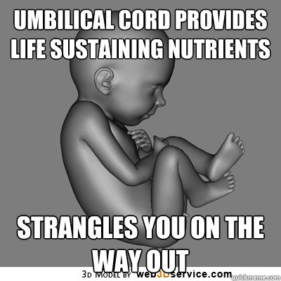 Umbilical cord provides life sustaining nutrients  Strangles you on the way out - Umbilical cord provides life sustaining nutrients  Strangles you on the way out  Scumbag Fetus