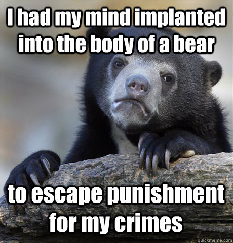 I had my mind implanted into the body of a bear to escape punishment for my crimes  Confession Bear