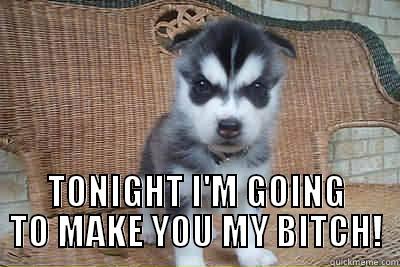  TONIGHT I'M GOING TO MAKE YOU MY BITCH! Misc