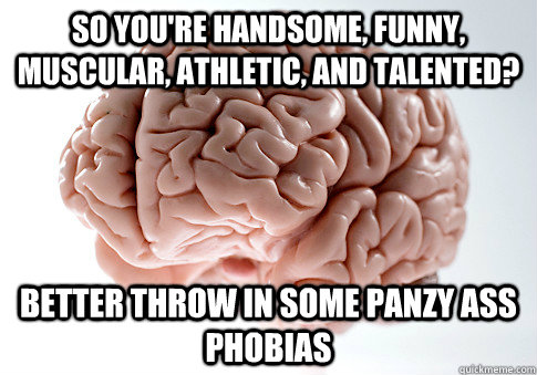 So you're handsome, funny, muscular, athletic, and talented? Better throw in some panzy ass phobias  Scumbag Brain