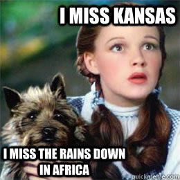 I miss Kansas I miss the rains down in Africa - I miss Kansas I miss the rains down in Africa  Toto song dog