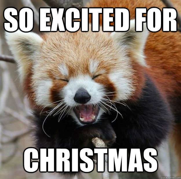 so excited for christmas  Red panda