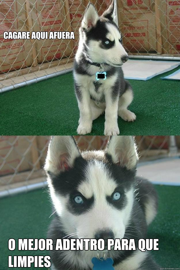 Cagare aqui afuera  o mejor adentro para que limpies   Insanity puppy