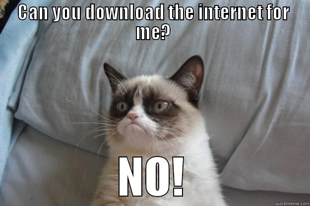 CAN YOU DOWNLOAD THE INTERNET FOR ME? NO! Grumpy Cat