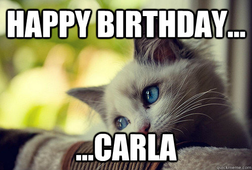 happy birthday... ...carla - happy birthday... ...carla  First World Problems Cat