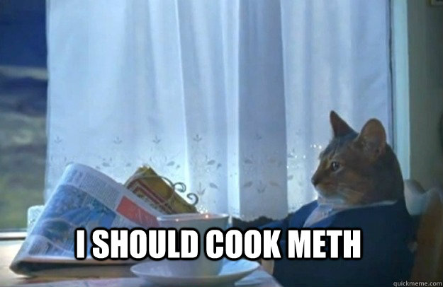 I should cook meth  Sophisticated Cat