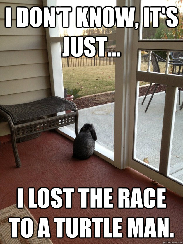 I don't know, It's just... I lost the race to a turtle man.  
