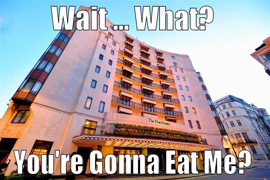 WAIT ... WHAT? YOU'RE GONNA EAT ME? Misc