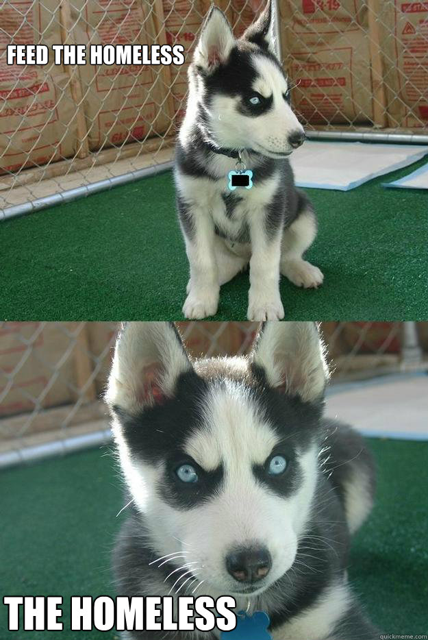 Feed the Homeless The Homeless  Insanity puppy