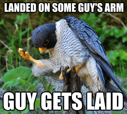 Landed on some guy's arm Guy gets laid  