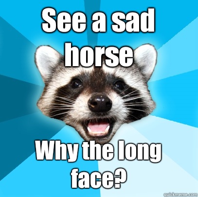 See a sad horse Why the long face?  Lame Pun Coon