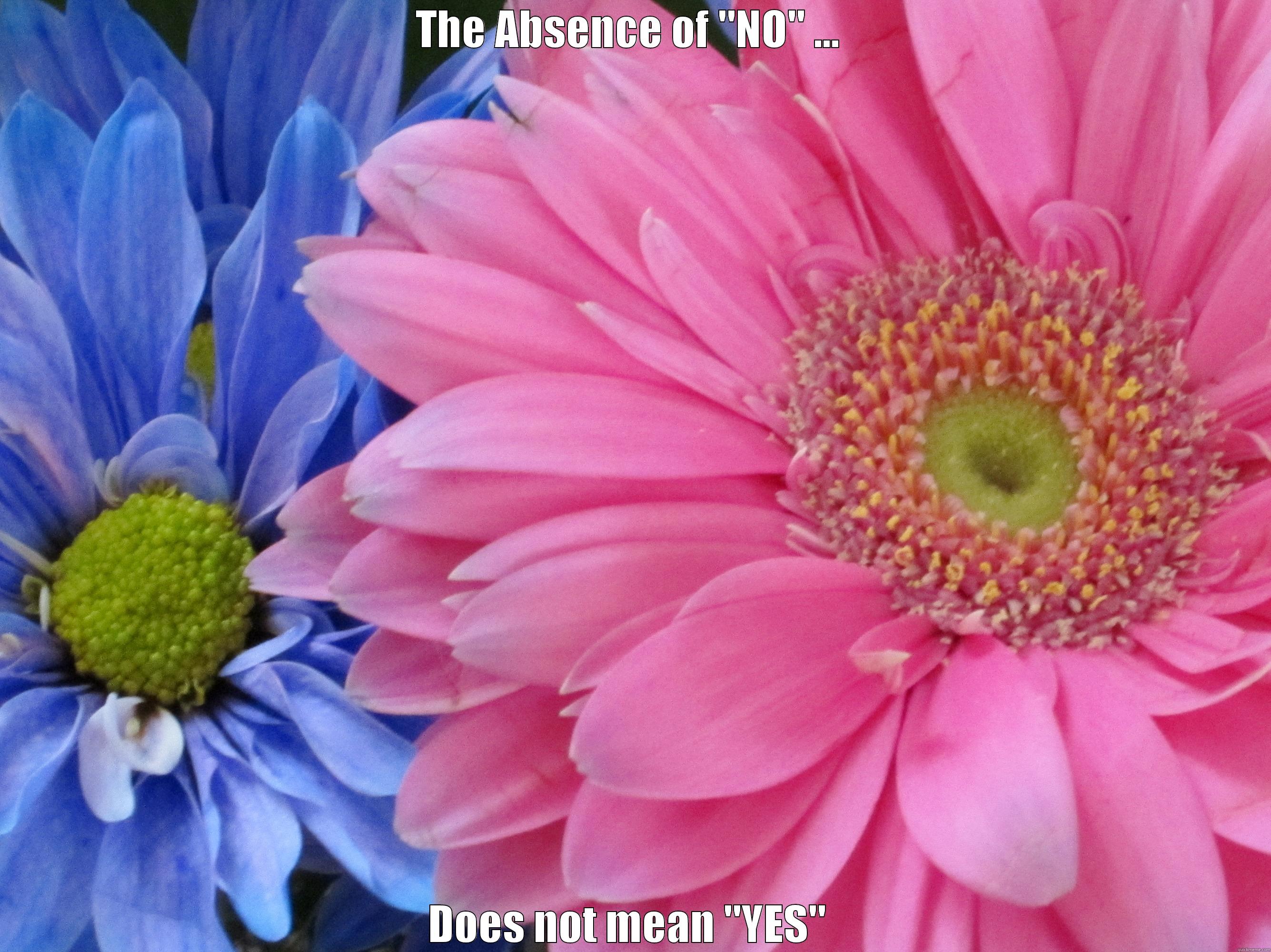 yes and no - THE ABSENCE OF 