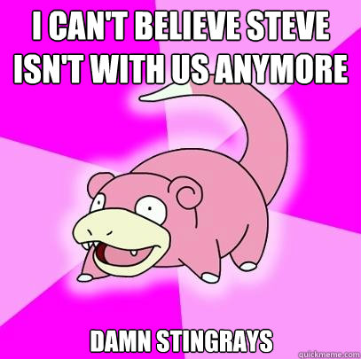 i can't believe steve isn't with us anymore damn stingrays  Slowpoke