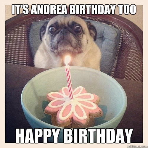 It's Andrea Birthday too Happy birthday - It's Andrea Birthday too Happy birthday  Scared birthday pug
