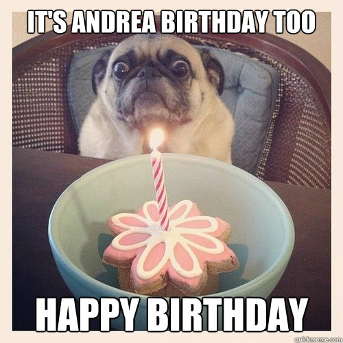 It's Andrea Birthday too Happy birthday  Scared birthday pug