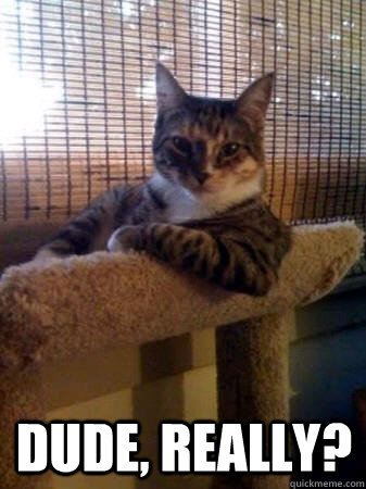  Dude, really?  The Most Interesting Cat in the World