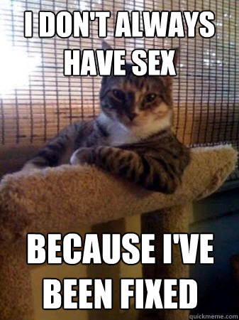 I don't always have sex because i've been fixed  The Most Interesting Cat in the World