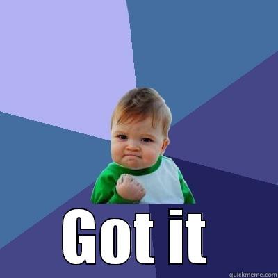  GOT IT Success Kid
