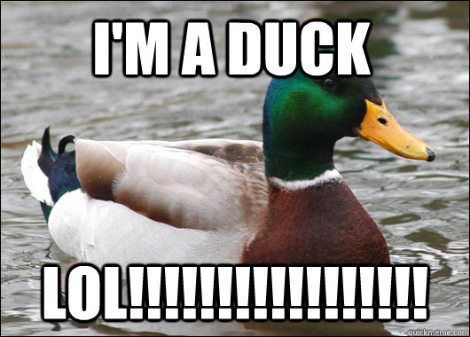 I'm a duck LOl!!!!!!!!!!!!!!!!!  Actual Advice Mallard