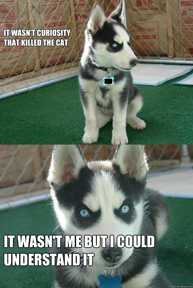 It wasn't curiosity 
that killed the cat It wasn't me but I could understand it  Insanity puppy
