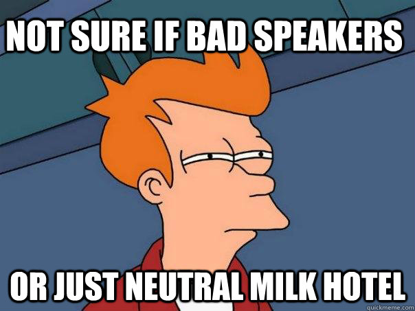 not sure if bad speakers or just neutral milk hotel  Futurama Fry