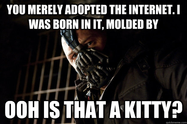 You merely adopted the internet. I was born in it, molded by ooh is that a kitty? - You merely adopted the internet. I was born in it, molded by ooh is that a kitty?  Academy Bane