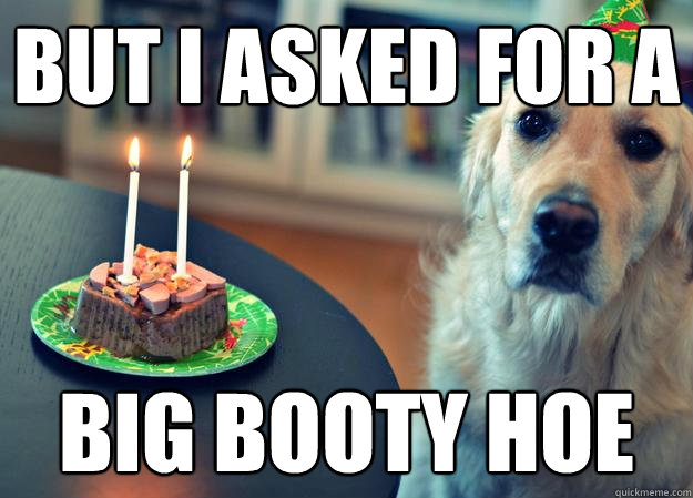 But i asked for a  big booty hoe  - But i asked for a  big booty hoe   Sad Birthday Dog